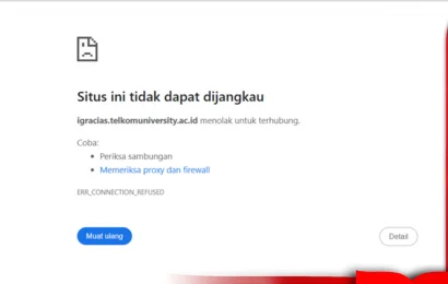 Cara Mengatasi Kendala Akses Domain Telkom University (iGracias, SITU, SSO, LMS dll)